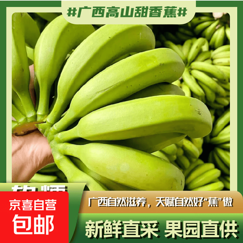 正宗广西当季高山香蕉新鲜水果粉蕉泰旺香甜香蕉整箱薄皮 【精品】高山香蕉2斤