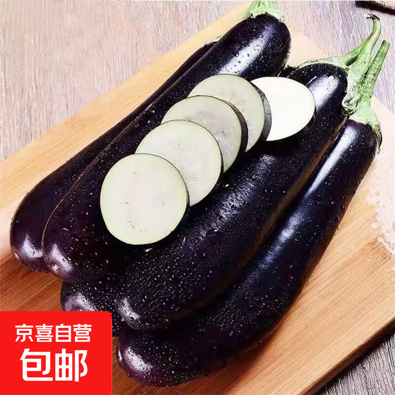 山东紫皮长茄 现价2.1元/斤