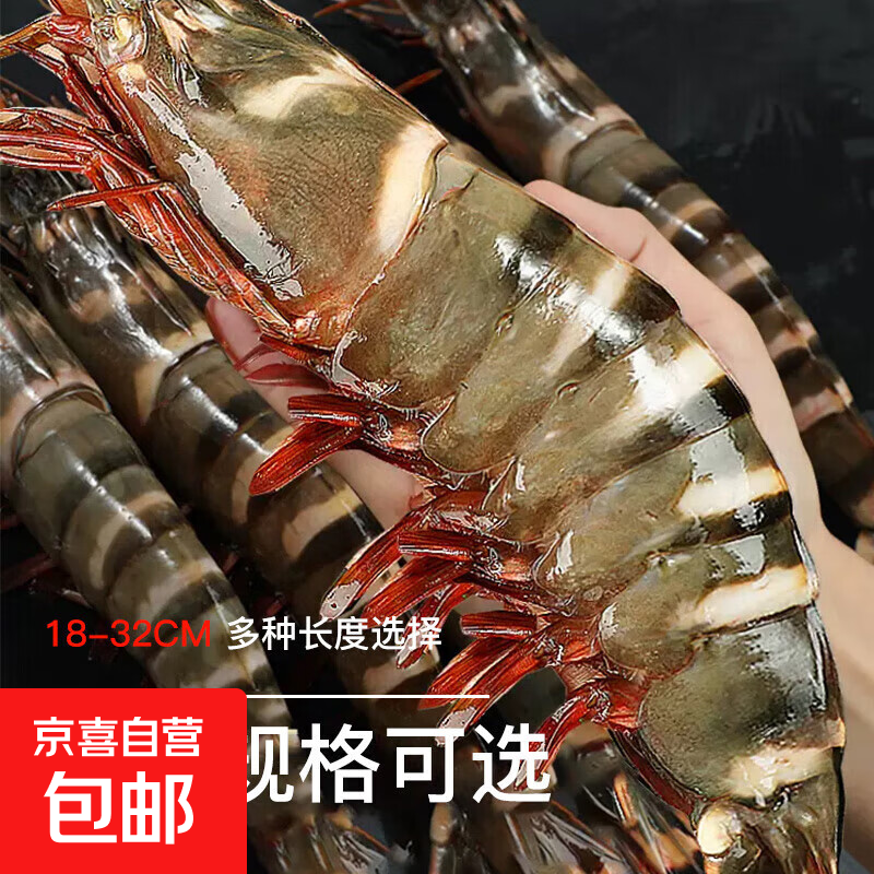 超大黑虎虾越南进口巨型特大虾金刚虾海鲜 斑节对虾老虎虾千果 500g(净重)  2盒（1盒10-15只）