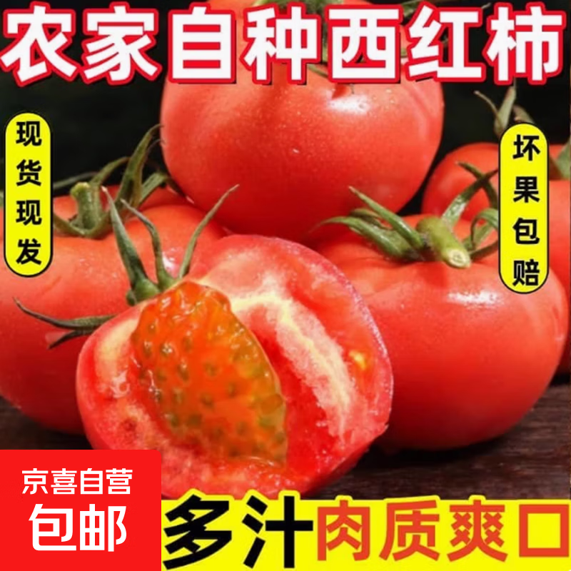 西红柿水果沙瓤番茄多汁新鲜蔬菜生鲜减肥减脂可生吃 西红柿 1斤 试吃款