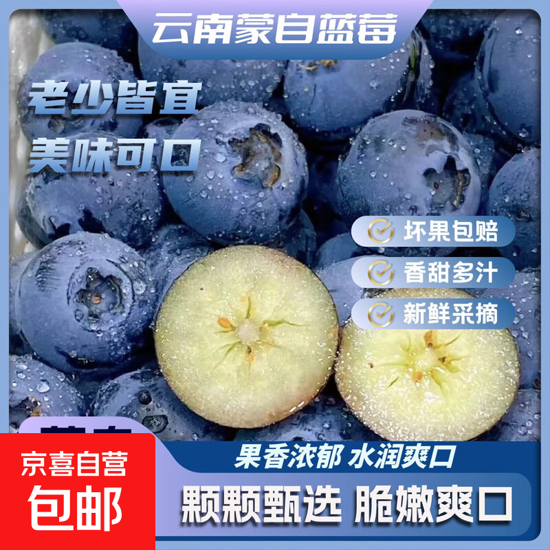 云南蒙自高山蓝莓新鲜原生态 现采现摘鲜果孕妇宝宝100g/盒 蒙自蓝莓15mm+2盒