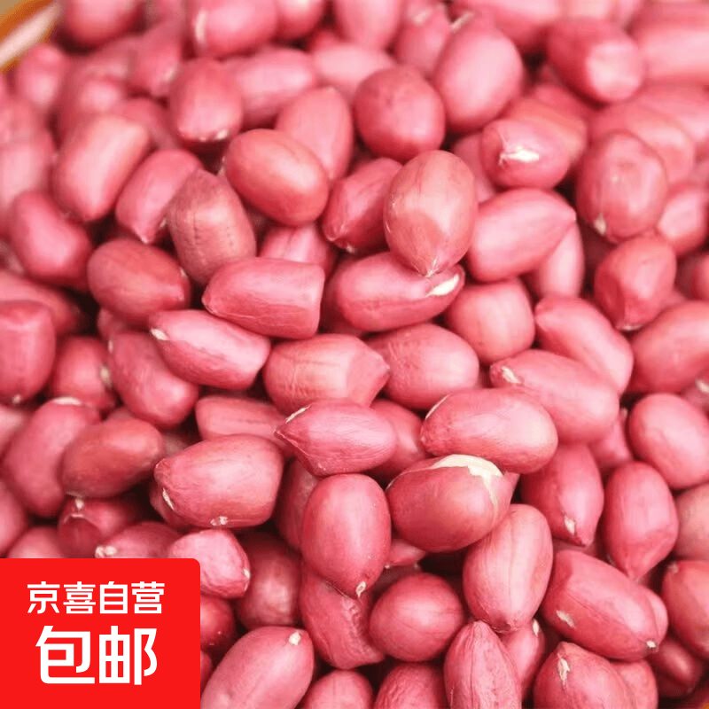 红皮花生米 生花生 中小颗粒现剥新货可油炸熬粥煲汤 红皮花生米100g