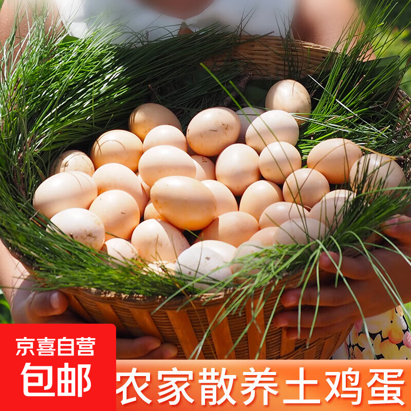 领 - 新鲜土鸡蛋4枚，2亓 - 折送网