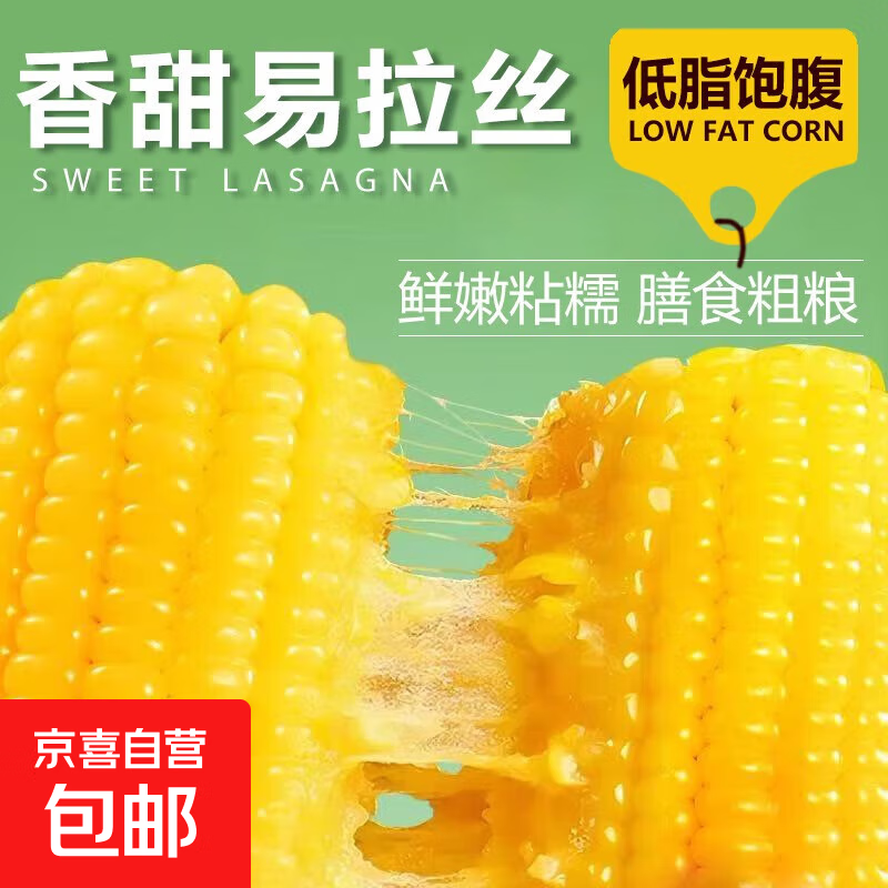 山西黄糯玉米低脂粗粮早餐主食健身代餐当季新下鲜糯一级棒 4根 黄糯一级