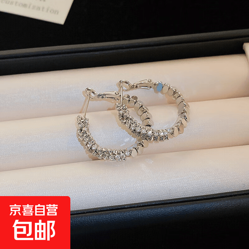 银针锆石碎银圆圈几何耳环小众气质轻奢风耳圈个性简约百搭耳饰女 银针-银色圆圈