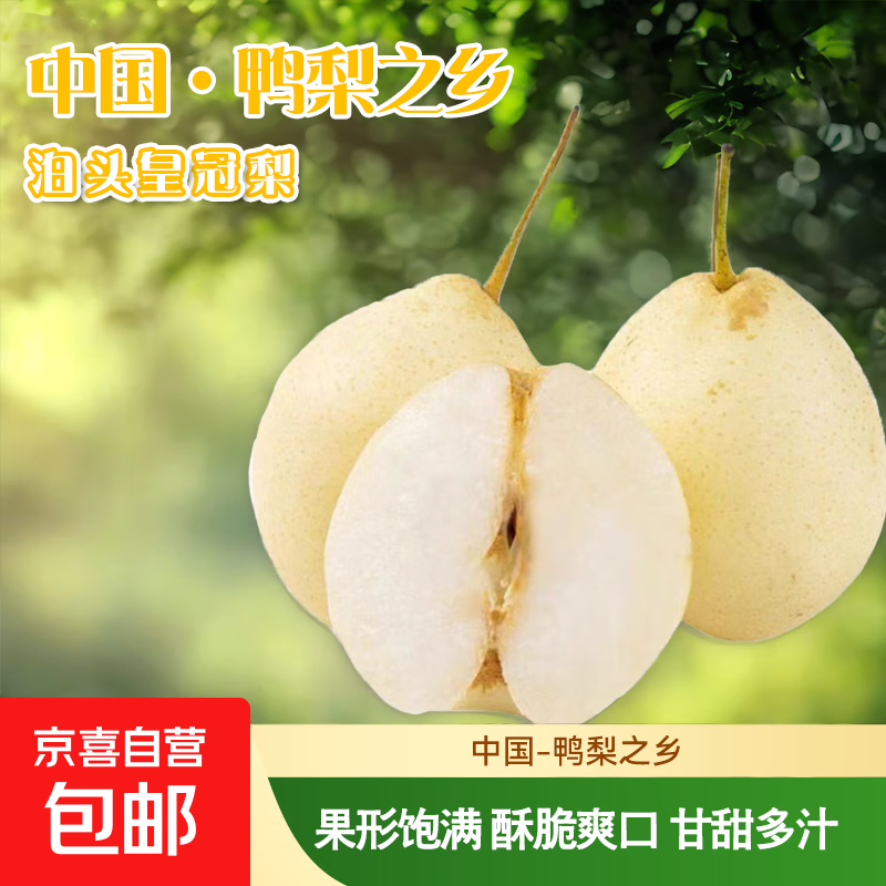鸭梨河北泊头鸭梨之乡甘甜可口汁水充盈新航线 2斤箱装（含箱重）