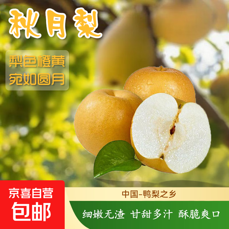 正宗新鲜秋月梨爆甜多汁当季鲜果薄皮肉嫩新航线 2.5斤箱装（含箱重）