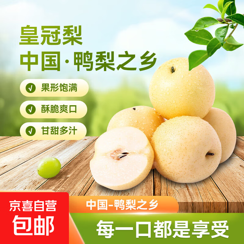 河北皇冠梨泊头皇冠梨产地直发精品大果脆甜多汁新航线1 2斤箱装+精品大果（含箱重）