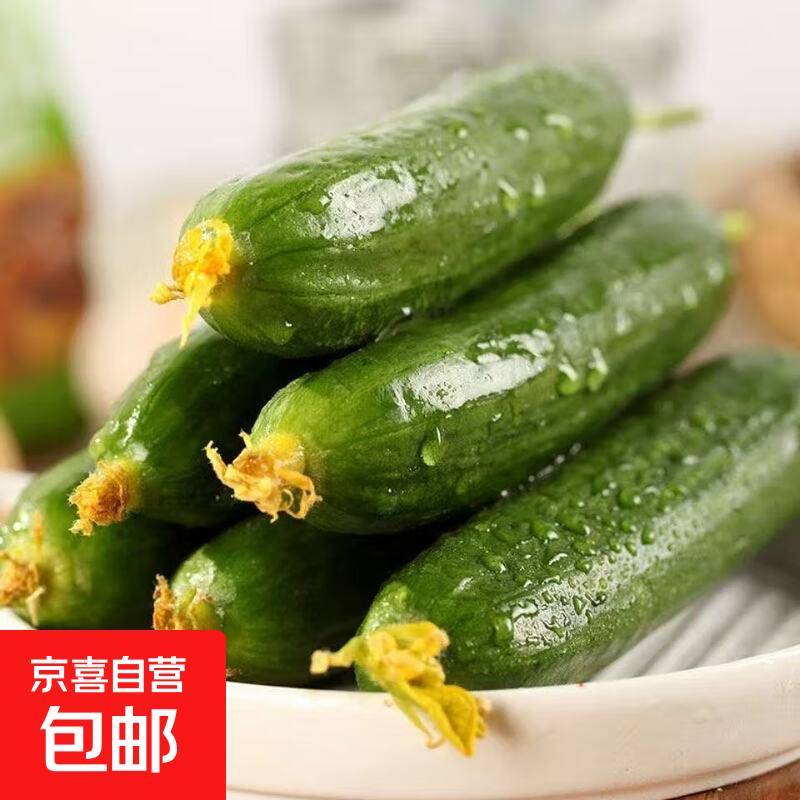 新鲜水果小黄瓜健康轻食山东脆甜无刺青瓜当季新鲜蔬菜 2斤