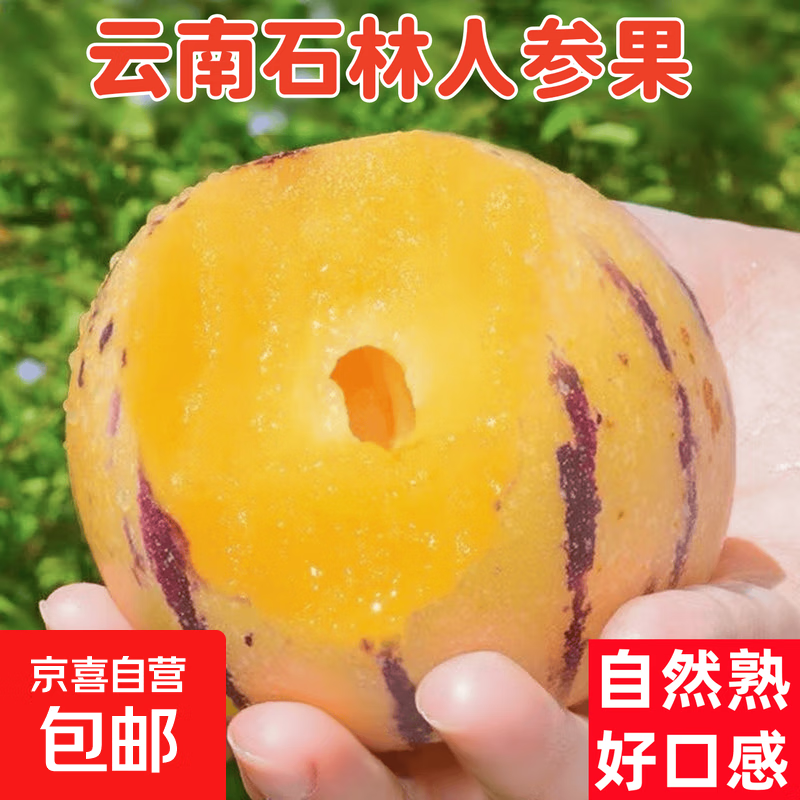 云南石林人参果正宗火山岩人生果应季特大果新鲜水果 -京顶鲜 精选果【单果30-50g】 1斤装【尝鲜】净重0.8斤
