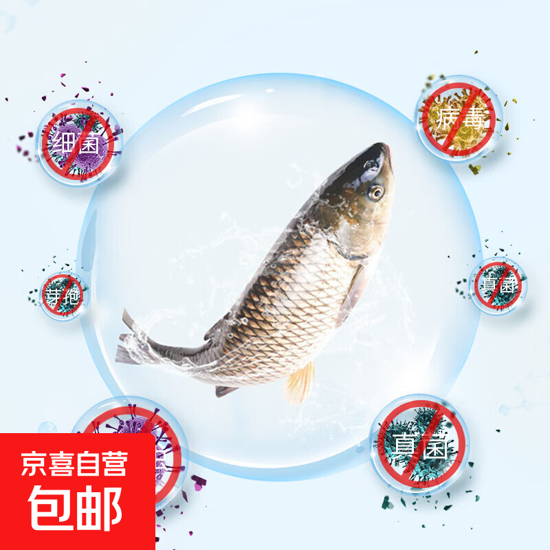 復合碘水產(chǎn)消毒養(yǎng)殖魚塘蝦塘殺菌國標魚藥出血爛鰓爛身 復合碘溶液500g*1瓶