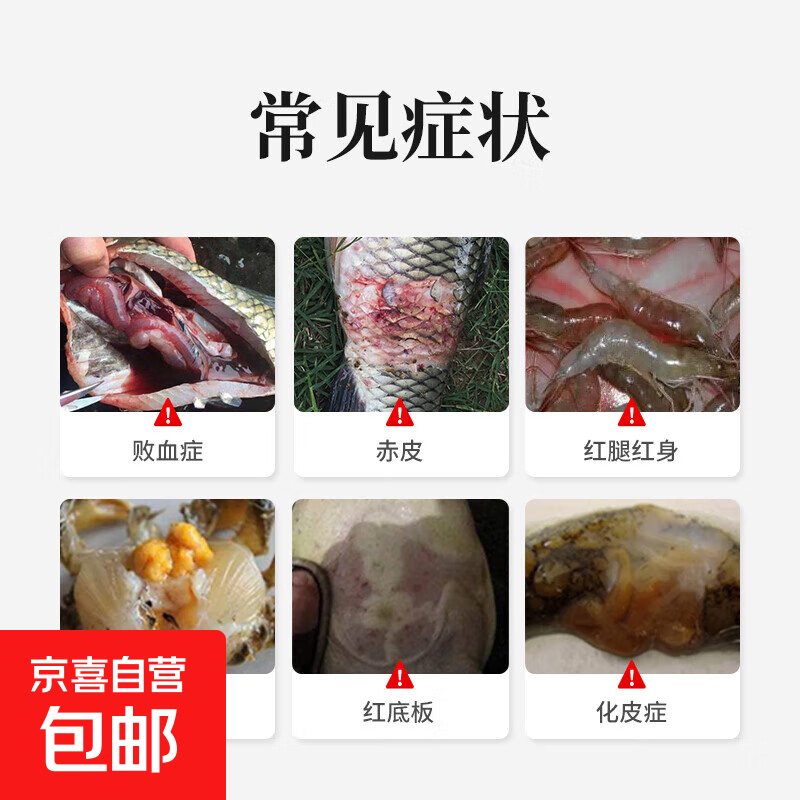 聚維酮碘水產(chǎn)養(yǎng)殖魚藥爛腮出血爛身腸炎蝦蟹龜蛙魚塘消毒殺菌藥 【水產(chǎn)雙護】10%聚維酮碘溶液*1+水霉凈*1