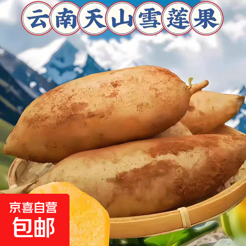 【低糖】云南天山雪莲果清甜脆爽多汁新鲜应季水果-YLZ 大果带箱10斤装