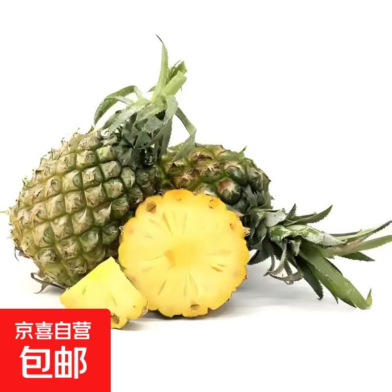 广东徐闻香水菠萝新鲜水果热带孕妇水果整箱包邮美味 迷你菠萝400g起 0.8-1.3斤（1-2个）