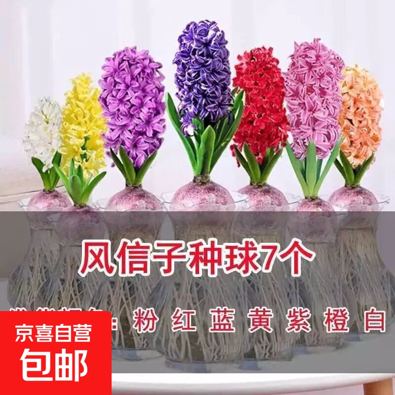 ˮײͶˮѿͺ׻ֲڻ 7ɫ 