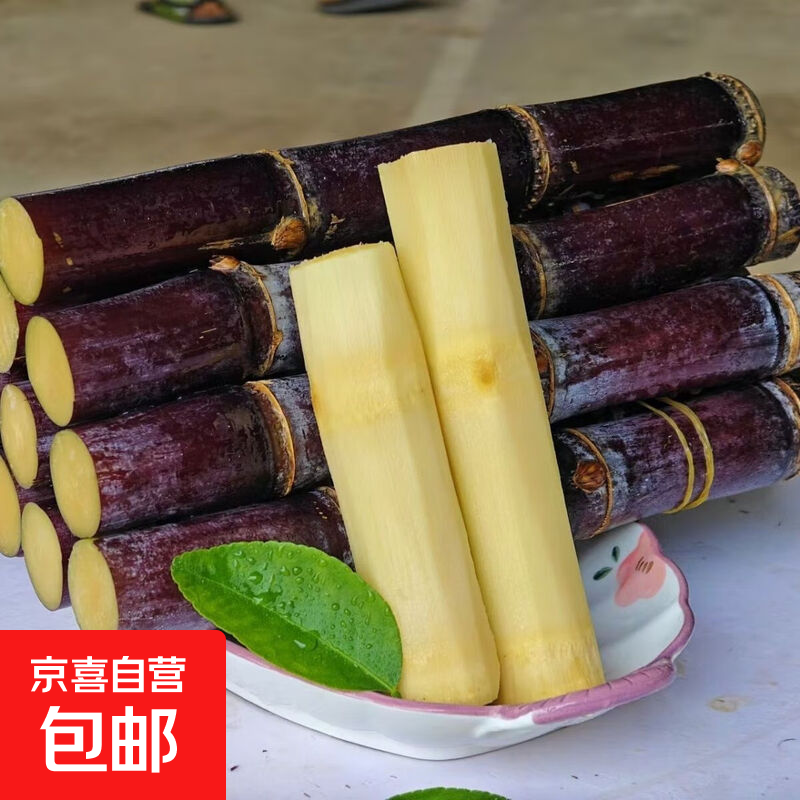 广西黑皮甘蔗脆甜多汁当季新鲜水果现砍产地现发特产甜秆果蔗榨汁 带箱3斤【不带刀】