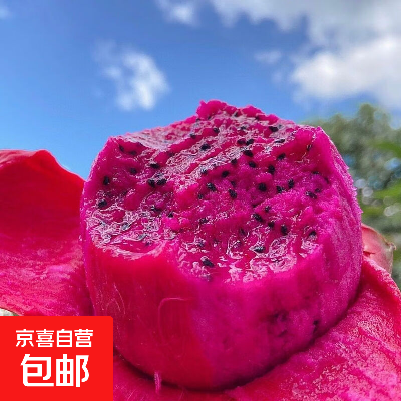 ������һ�ź��Ļ����� �������ʳ��� Ӧ���и�ˮ�� ����100g+ 2��װ 4Ԫ