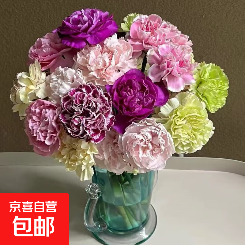 �߲ʿ���ܰ�ʻ�������ɫ��ɫ���ڳ�����ˮ�ͻ��ʦ������ʦ�廨 ��ɫ��ɫ ��ɫ����ܰ10֦����9֦+1֦����