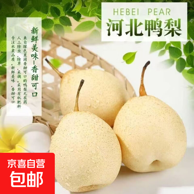 新鲜脆甜多汁鸭梨河北鸭梨香航 手工精选鸭梨带箱3斤