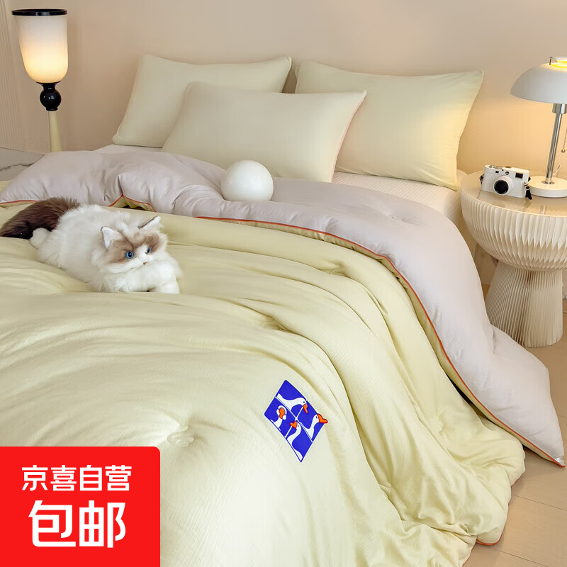 加厚保暖冬被芯羽丝棉被子四季通用棉被芯学生宿舍单人春秋空调被 小新控-青草绿 200*230cm8斤