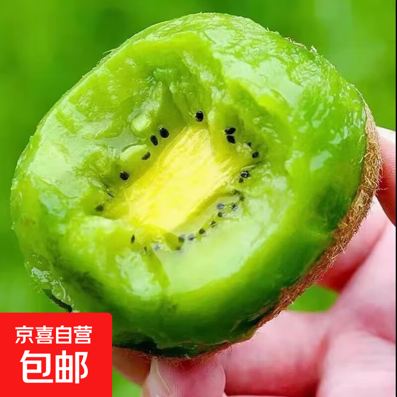 现货徐香绿心猕猴桃生鲜水果奇异果大果当季时令水果新鲜整箱批发 15枚60-80g