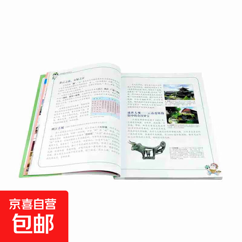 大中华寻宝记系列13 云南寻宝记 6