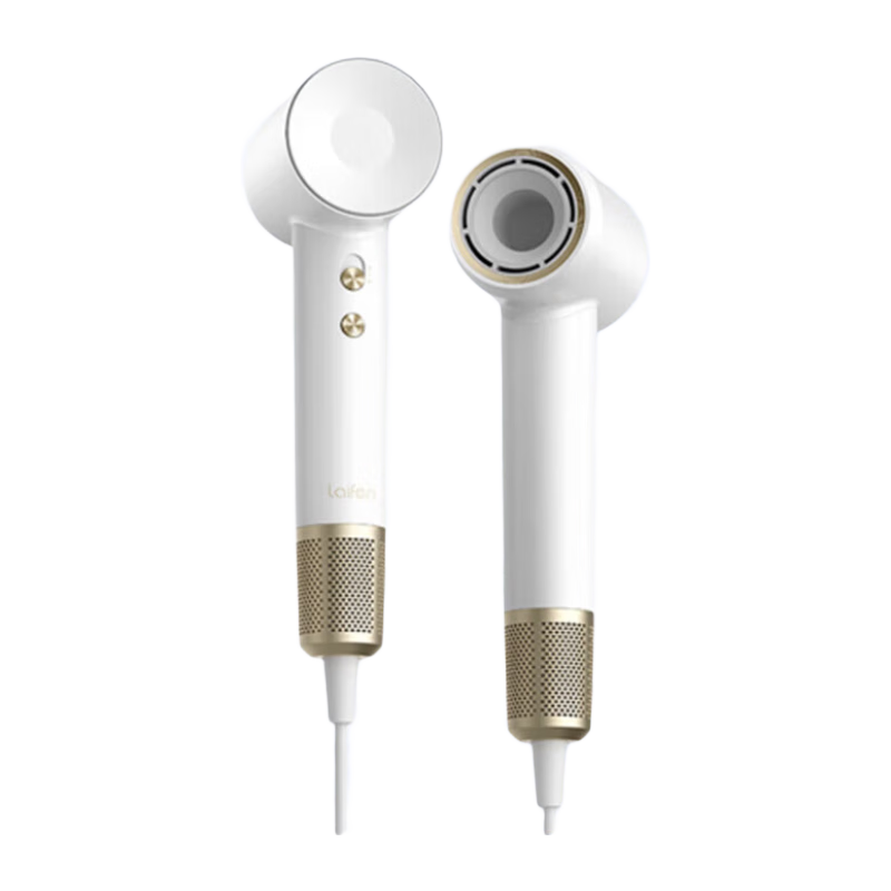 LEIFIN/��� LF03 ���¸����ӵ紵�� 1600W 2�ڸ����� ���