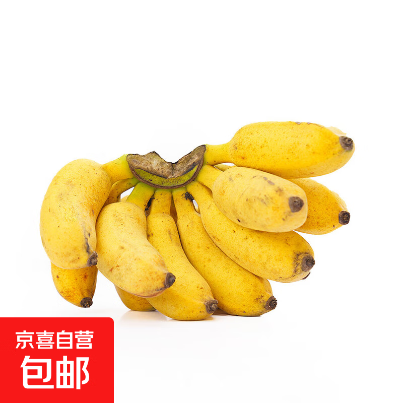 广西小米蕉当季水果小鸡米蕉新鲜自然熟香蕉放熟吃兰和 2斤装