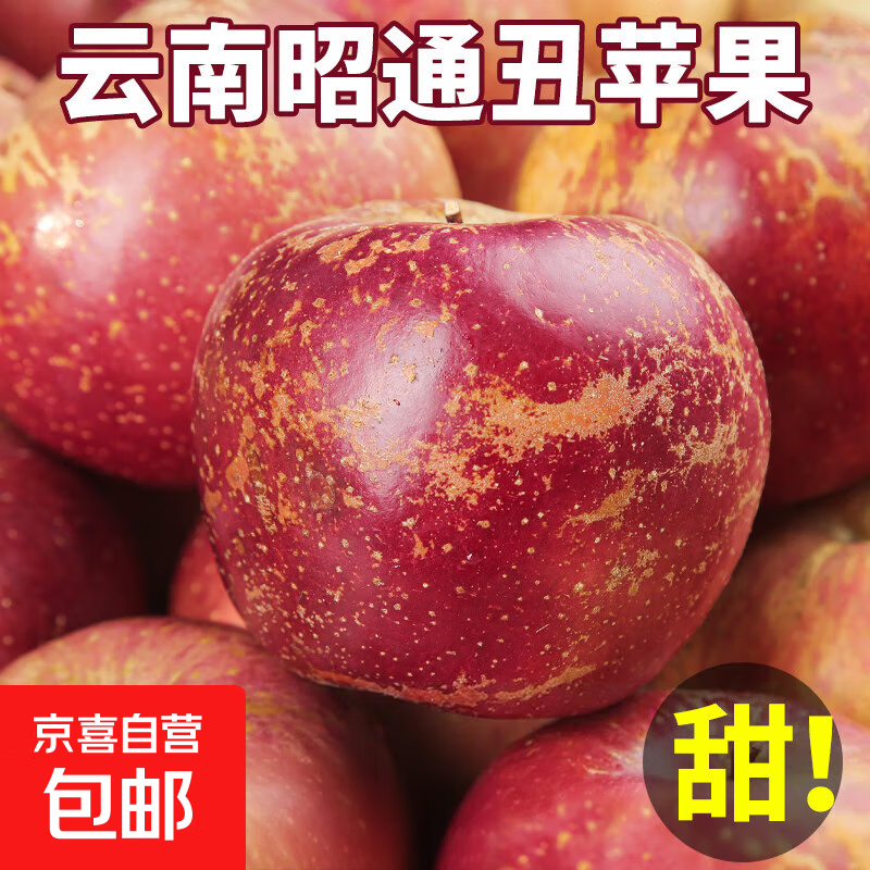 丑苹果新鲜云南昭通苹果生鲜水果苹果冰糖心富士当季中秋水果礼盒 9斤甄选果【蕞划算】60-70mm