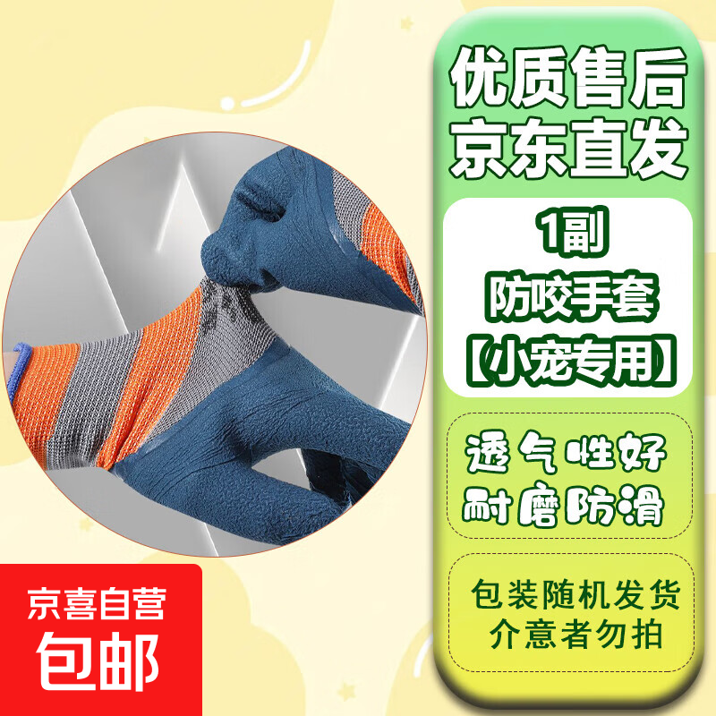 西班牙睡鼠拇指鼠自家繁殖幼崽活物学生宿舍口袋粘人小萌宠物包活 1副