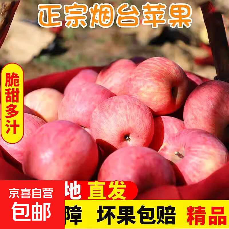 脆甜红富士苹果 新鲜整箱正宗烟台红富士苹果栖霞丑苹果水果 带箱2斤/单果80mm+