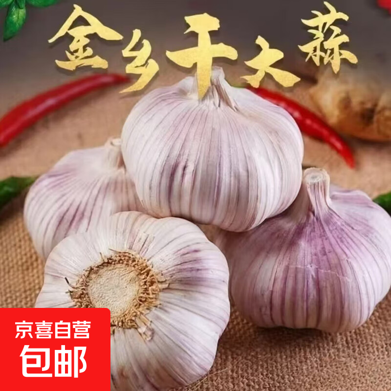 金乡新干蒜新鲜品质生鲜蔬菜调味料金乡农家自种大蒜小果3.5-4.5 【尝鲜】200g8头