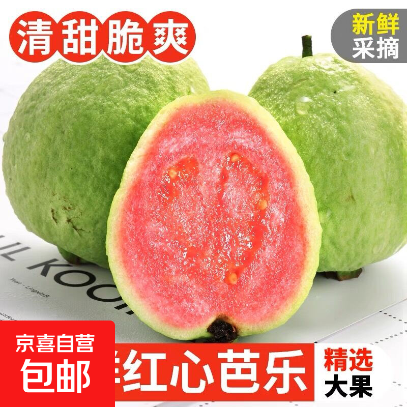 红心芭乐 草莓红心番石榴【送酸梅粉】新鲜水果当季香甜软巴乐果 一斤  带箱重