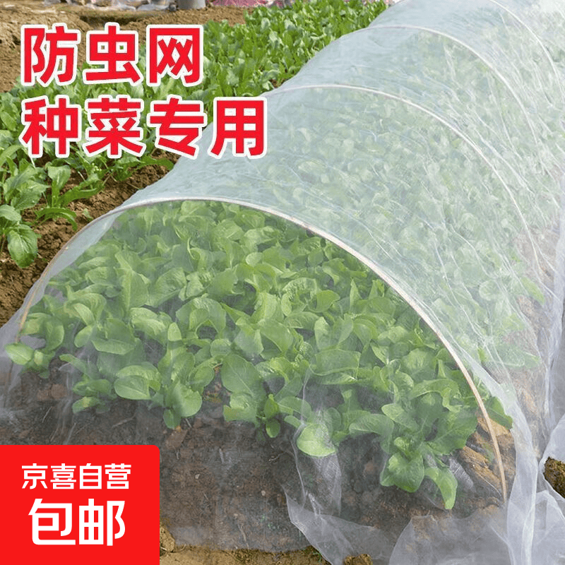 防虫网种菜专用网60目防虫罩加密纱网菜苗菜地果园网蔬菜防鸟罩 种菜防虫网60目【2米*10米】