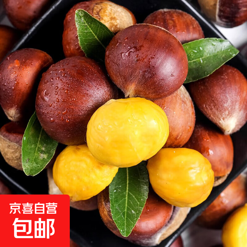 【东东农场专供】25年丹东新板栗生板栗炒菜专用新鲜蔬菜生鲜 25年新货 5斤 送栗爪