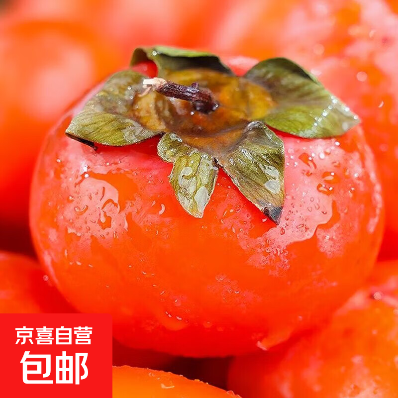 【产地直发】陕西火晶软柿子，软糯香甜流心柿子新鲜现摘 40克+ 15枚