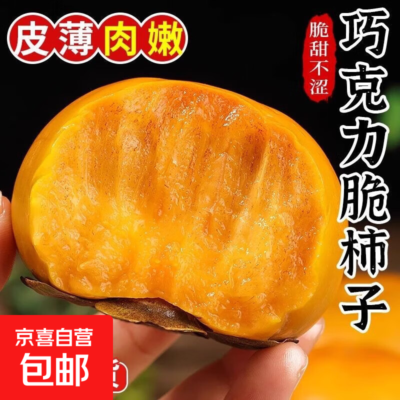 山西阳丰脆柿巧克力柿子新鲜脆柿现摘现发脆柿脆甜多汁水果整箱 脆柿大果13-16枚彩箱装净重4.5-4.8斤