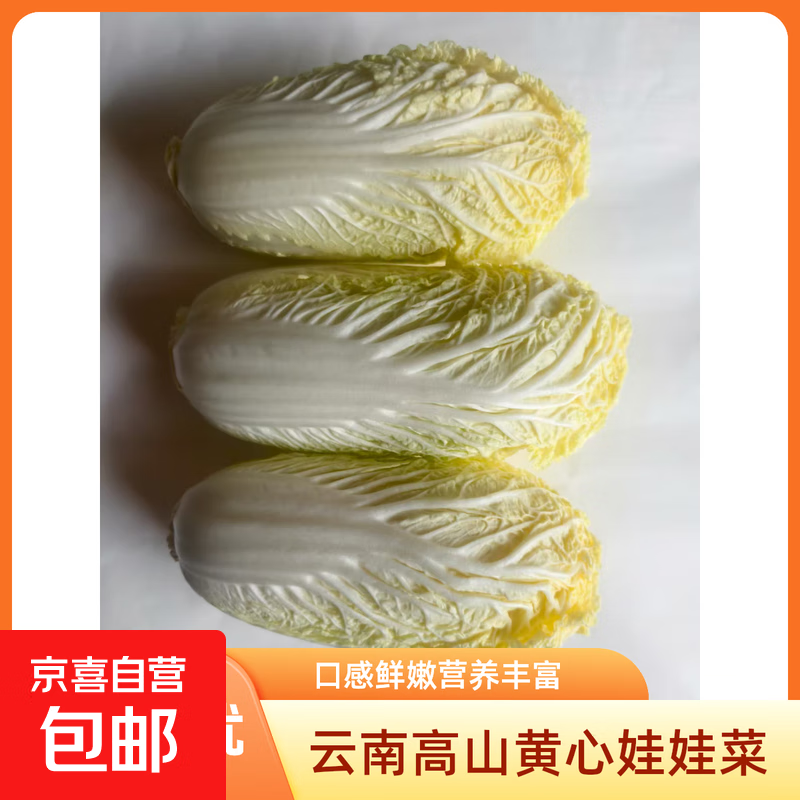 云南高山新鲜娃娃菜沙拉蔬菜早餐蔬菜水果现采现发 新鲜娃娃菜（3棵）*1包