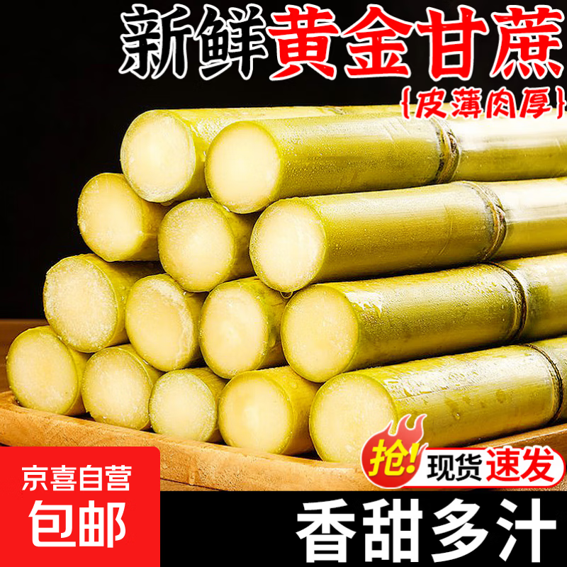 广西黄皮甘蔗水果黑皮甘蔗新鲜黄果蔗可榨汁煲汤削皮即食产地直发 【解馋】黄皮甘蔗2斤