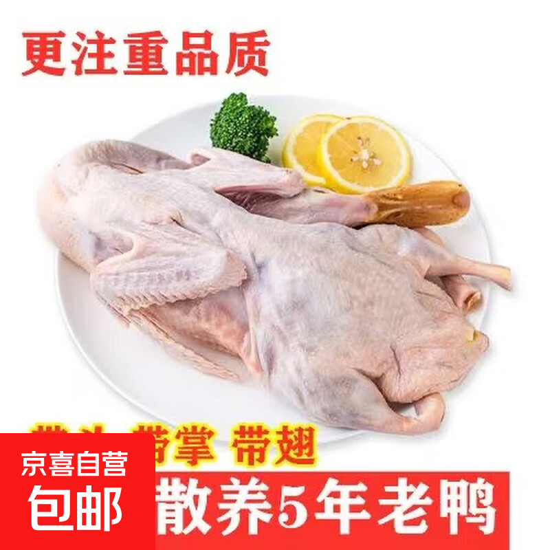 农村水库散养4年老鸭子 新鲜土鸭子水鸭子麻鸭老鸭子生鲜冷冻食材 一只老鸭5.5斤