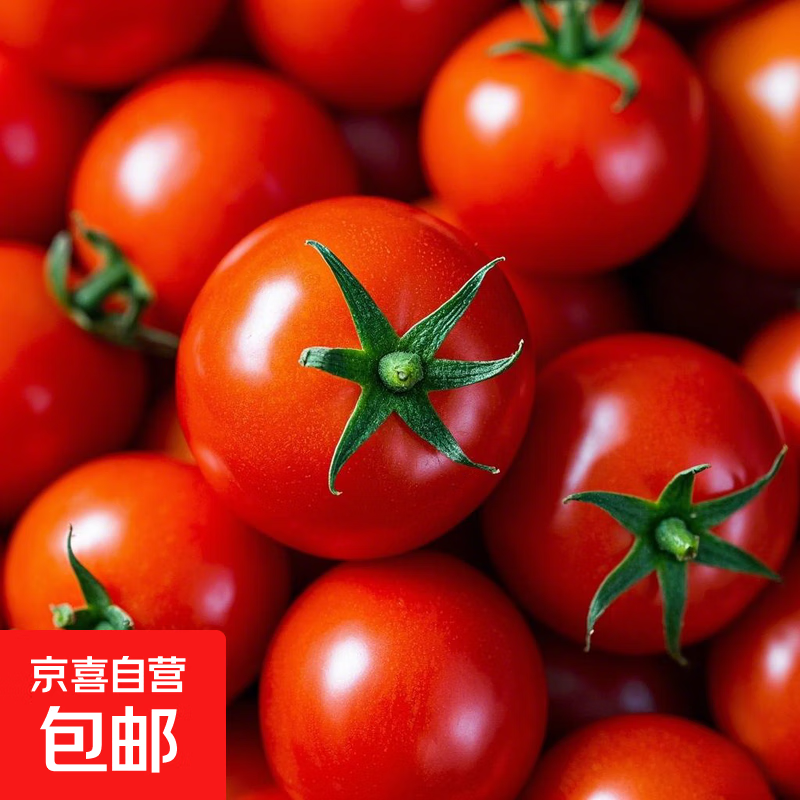 小番茄新鲜水果沙拉新鲜圣女果 精选3斤