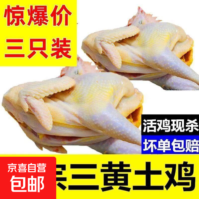 ���Ƽ�ͯ�� ��������ũ��ɢ���ߵؼ� ����800g/ֻ 17Ԫ