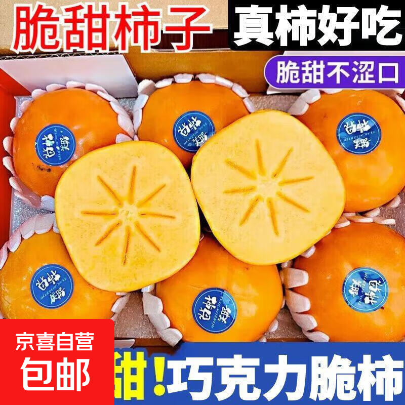 阳丰脆柿 新鲜巧克力柿子 吃硬的应季水果  脆甜可口 带箱5斤 单果100g+ 约19-21个左右