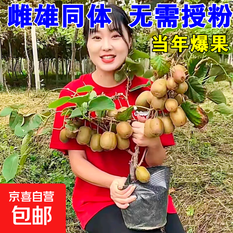 ⨺������繫ĸͬ�����������������ֺ����繫ĸͬ���Ϸ������� 5���硾��һٛһ��������ͬ�塿