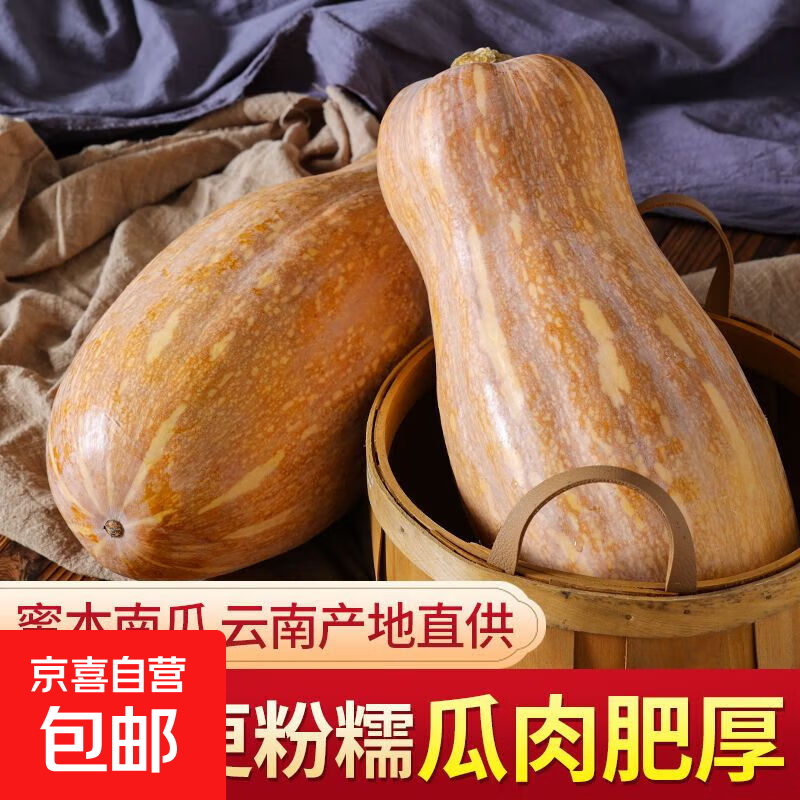 当季高原新鲜老南瓜儿童辅食早餐生鲜蔬菜整箱批发 带箱 6斤