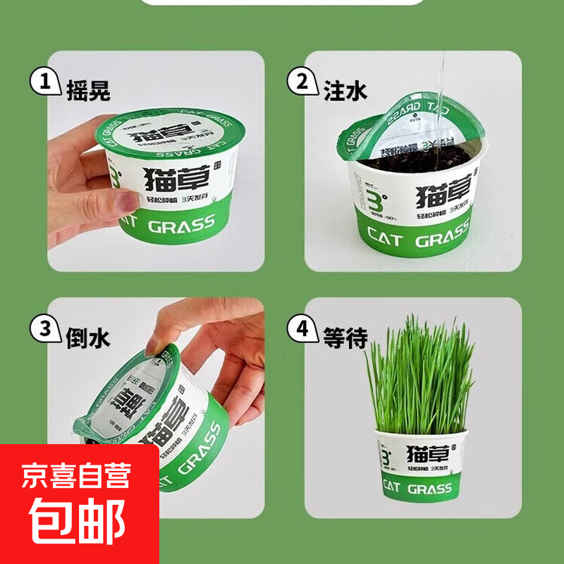猫草盆栽种籽育苗盘懒人水培化毛球片猫薄荷小麦草种子幼猫咪零食 【种不出包退】懒人泡面猫草*1罐