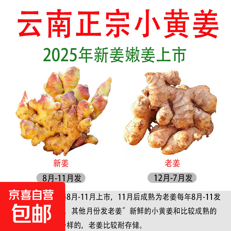 云南小黄姜 精选新鲜生姜老姜农家自种高山现挖沙地黄姜新鲜蔬菜 小黄姜 2斤
