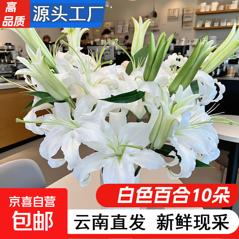 õ廨ʻϻֱٺϿܰտʦϦ˽ڻ Ʒ-ɫٺ10䡿