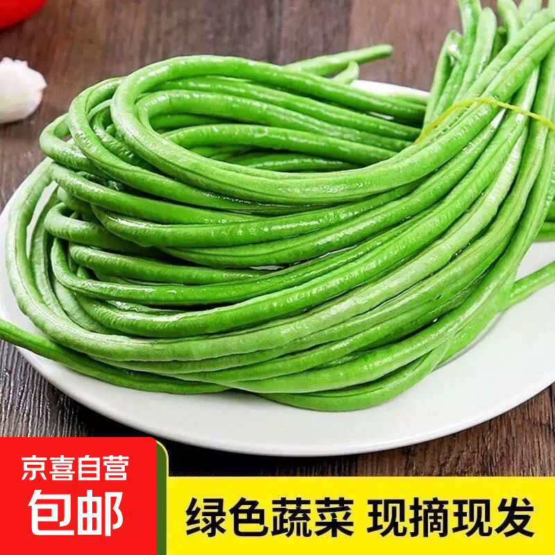 新鲜现摘长豆角豇豆时令新鲜夏季蔬菜豆角子腌制酸豆角早餐开胃 产地直发【当天采摘】 箱装【净重450-510克】