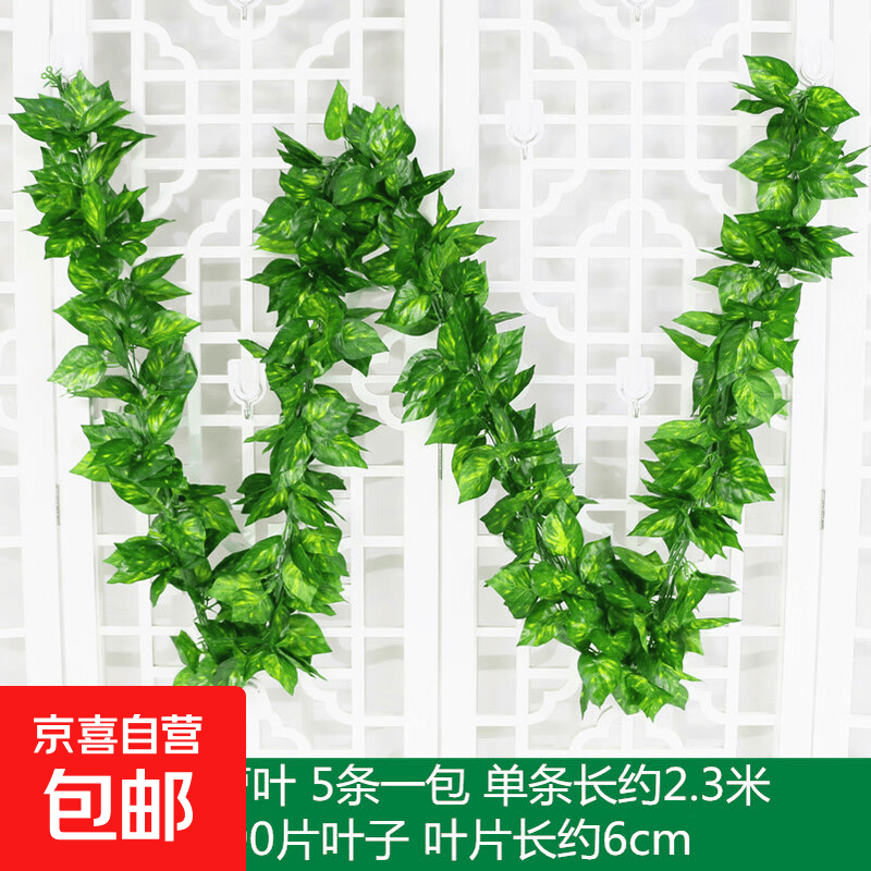 仿真藤条绿萝叶婚庆节庆装饰假树叶藤蔓塑料花藤下水管道遮挡绿叶 90叶加密大号绿萝叶【5条12米】